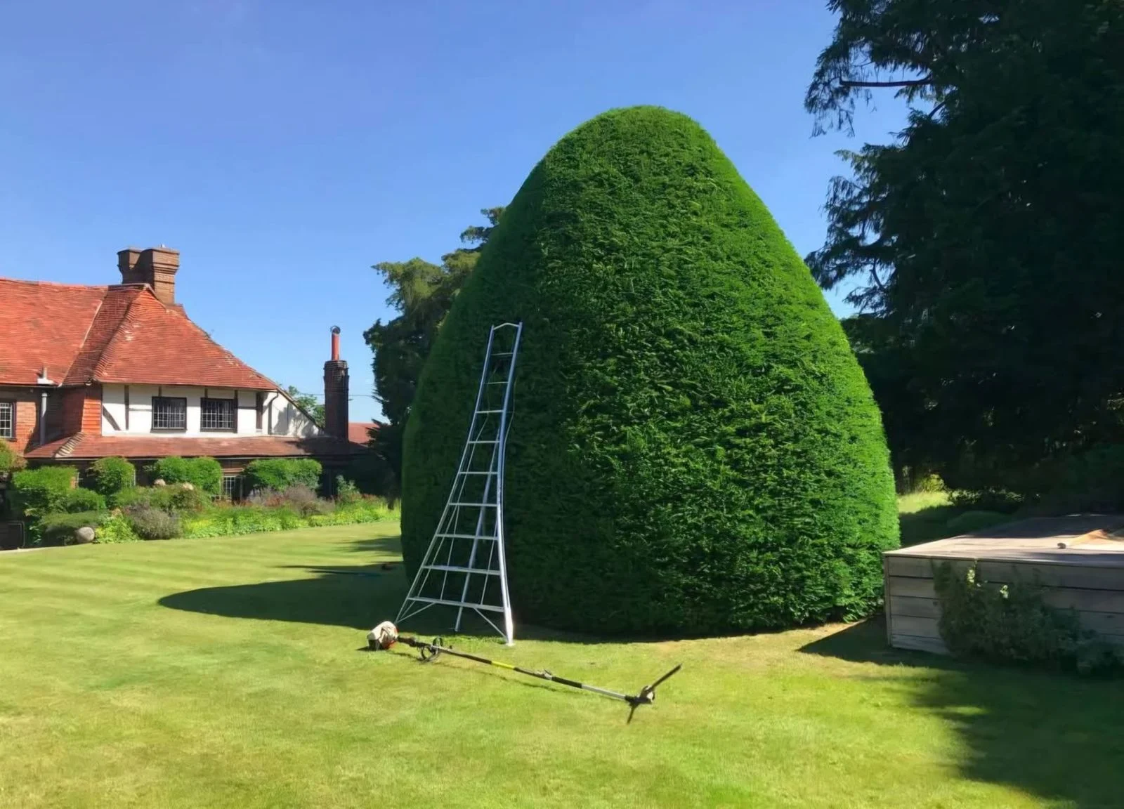 Garden Maintenance