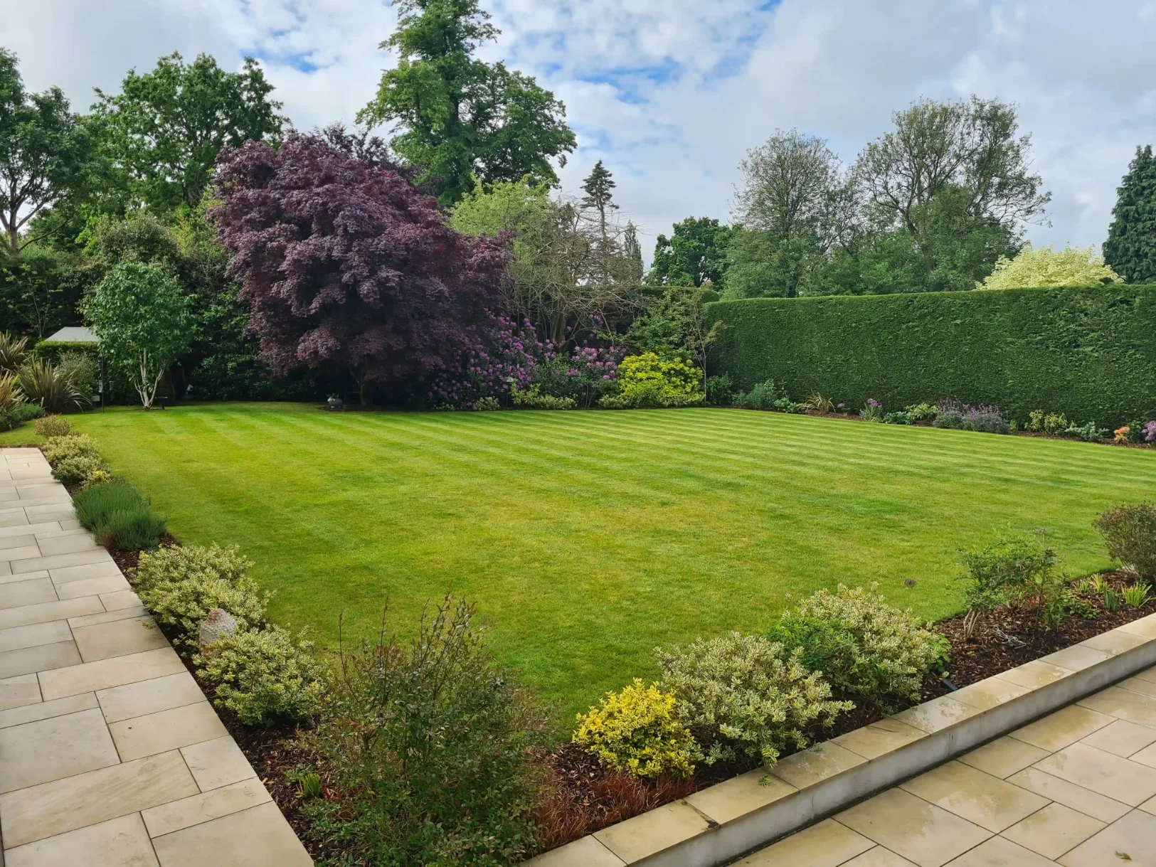 Lawn Installation & Treatments