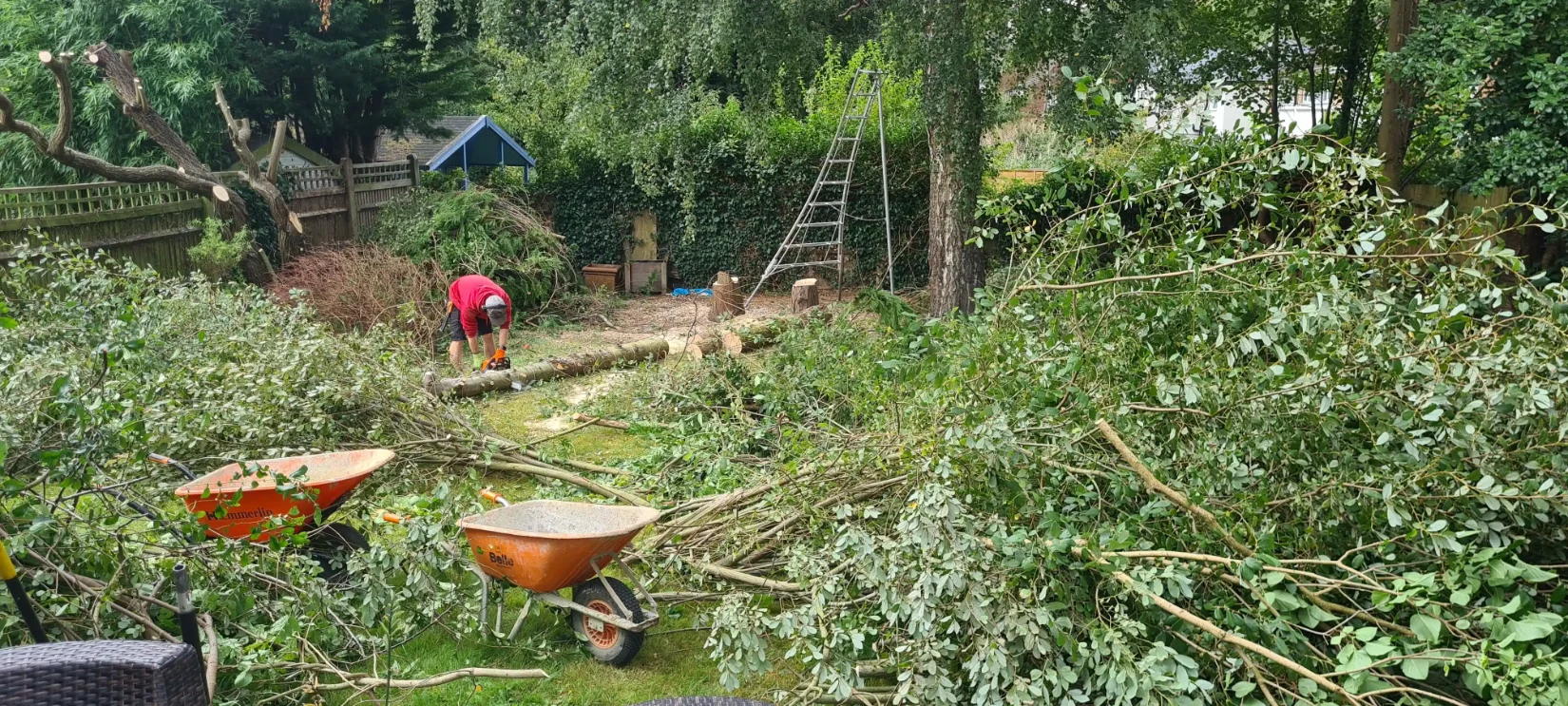Tree Work